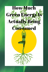 How Much Green Energy Is Actually Being Consumed